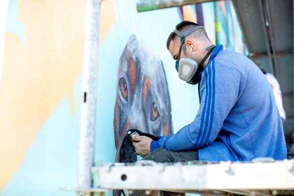 graffitifestival-2025-5C29113A0-2B00-9F17-4E45-C18713496E4A.jpg